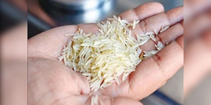 Check Plastic Rice: कहीं आप भी तो नहीं खा रहे हैं प्लास्टिक के चावल, इन 4 तरीकों से करें असली-नकली की पहचान