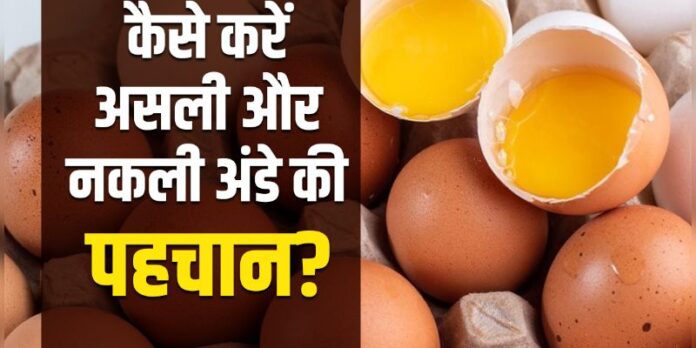 Fake Egg Test: असली और नकली अंडे की करनी है पहचान, इन आसान तरीकों की लें मदद